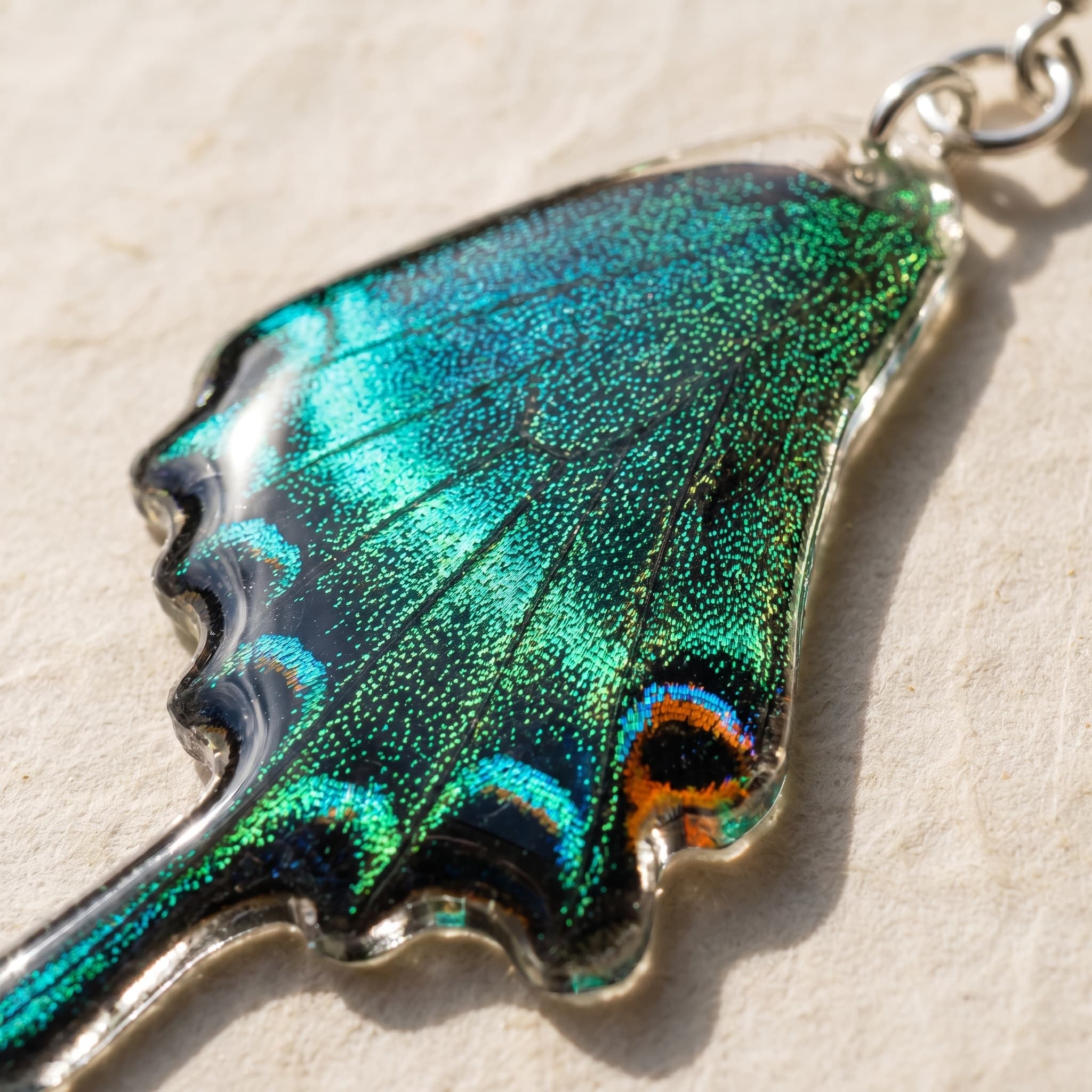 Emerald Swallowtail Butterfly Wing Dangle Earrings thumbnail 4